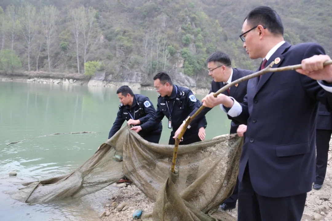 南水北調(diào)中線工程的源頭守護(hù)